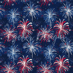 4th Fireworks