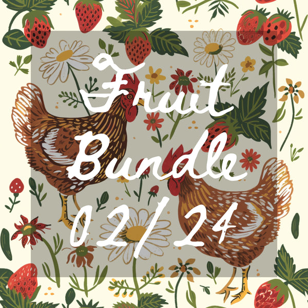 Fruit Bundle 02/06 (15 Seamless Files)