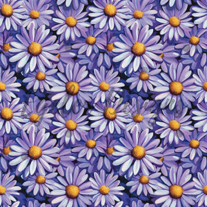 Purple Daisies