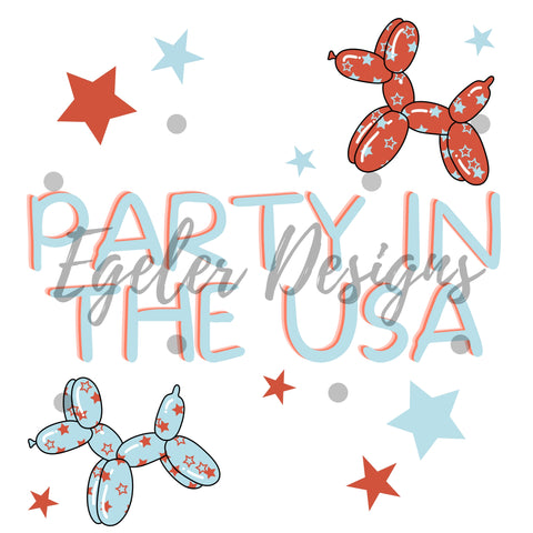 Party In The USA PNG