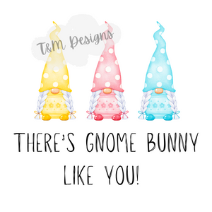 Gnome Bunny PNG