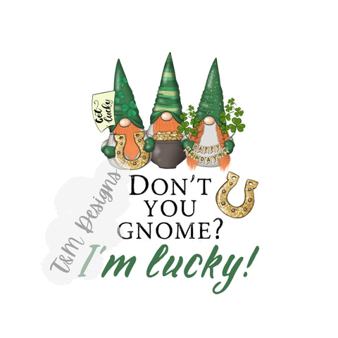 Lucky Gnomes PNG