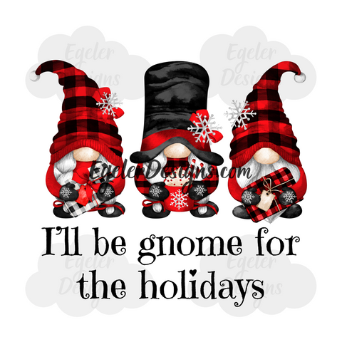 Gnome For Christmas PNG